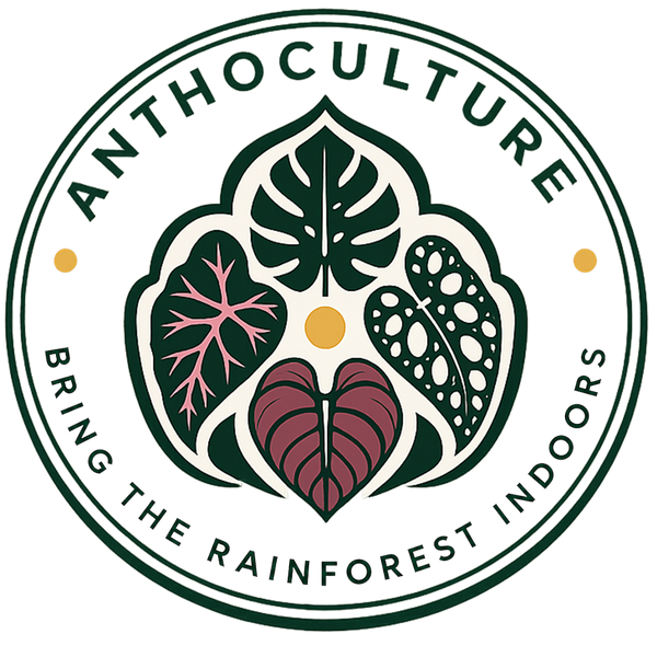 AnthoCulture